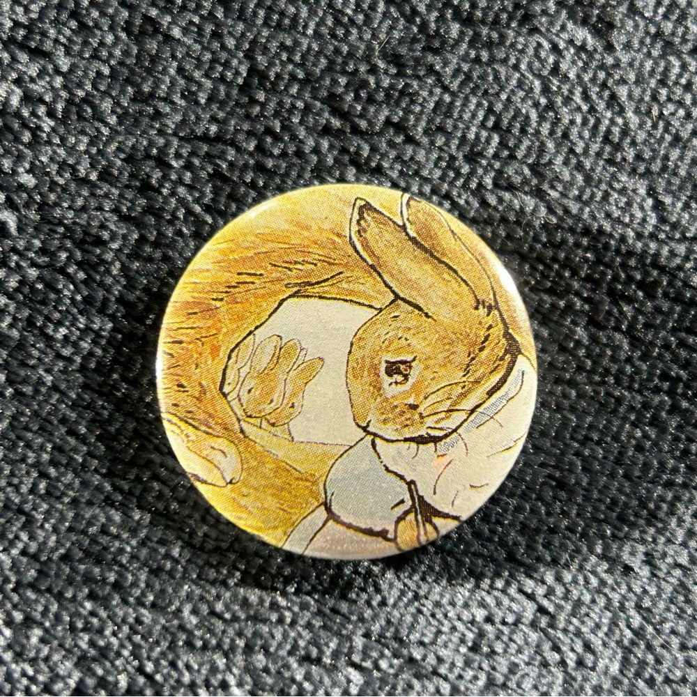 The Tale of Peter Rabbit - Handmade Button